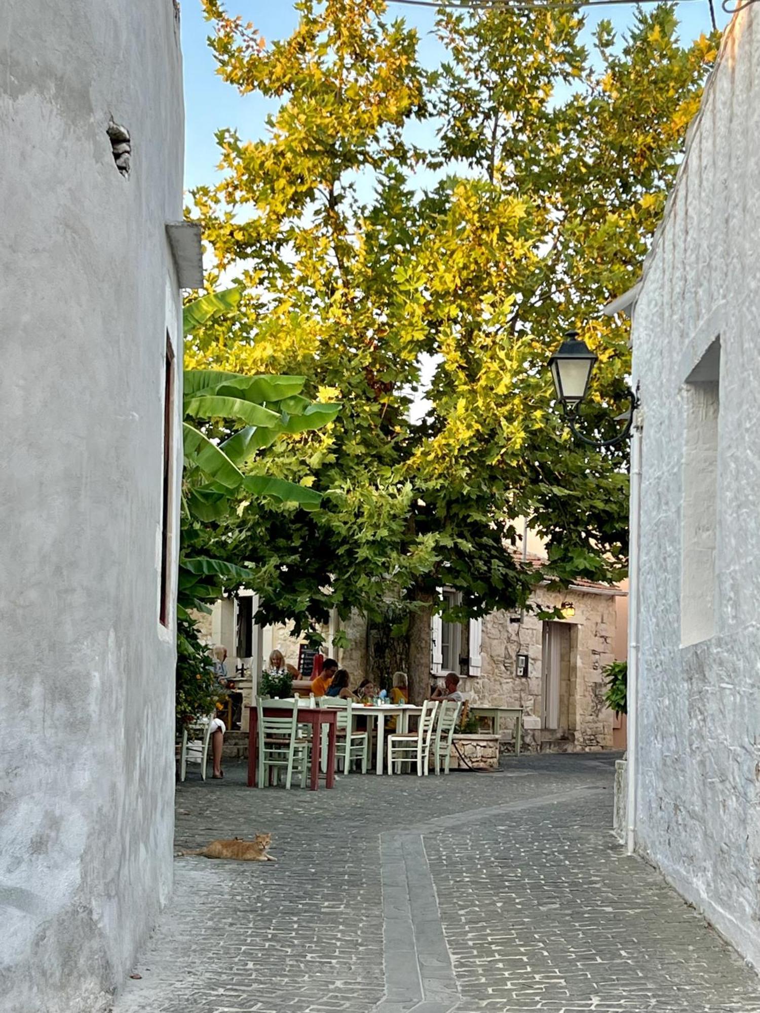 Villa Metapothia Gavalochori Crete Екстериор снимка